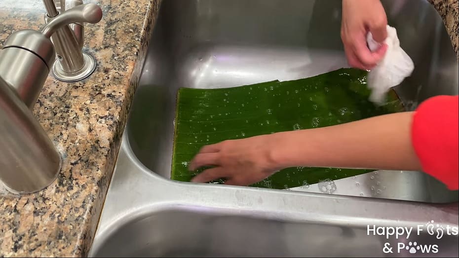 Cleaning banana leaves in the sink with light soap and water