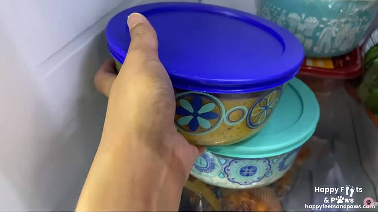 adding a sealed container of mango salsa to refrigerator to cool
