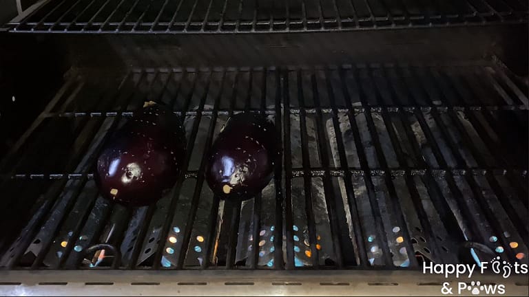 Two eggplants cooking on a grill