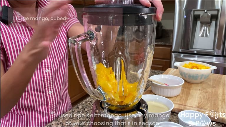 Pureeing sliced mangos in a blender for mango icecream recipe
