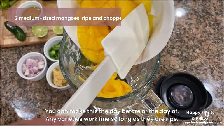 Putting mangos in a blender for mango salsa recipe