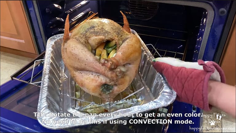 placing turkey in the oven to cook