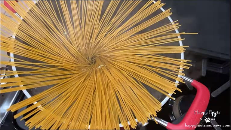 spaghetti noodles raw in pot