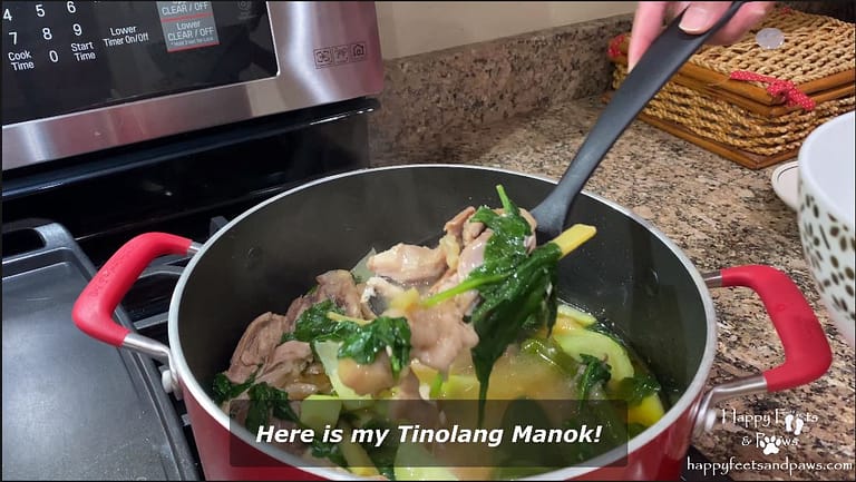 tinolang manok being served from a pot with a big dipper
