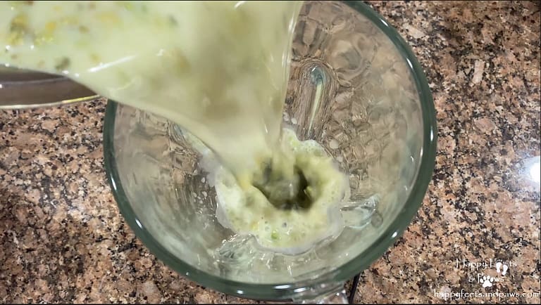 pouring avocado mix into blender for avocado ice candy recipe