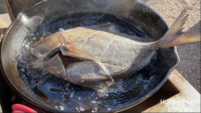 frying fish in iron skillet