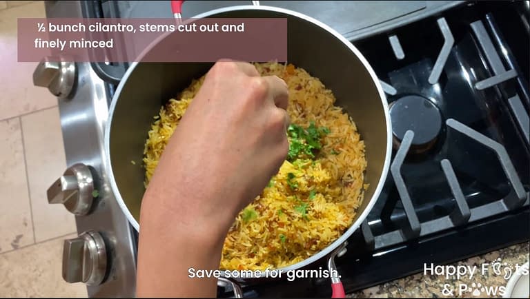 Adding cilantro to homemade spanish rice recipe
